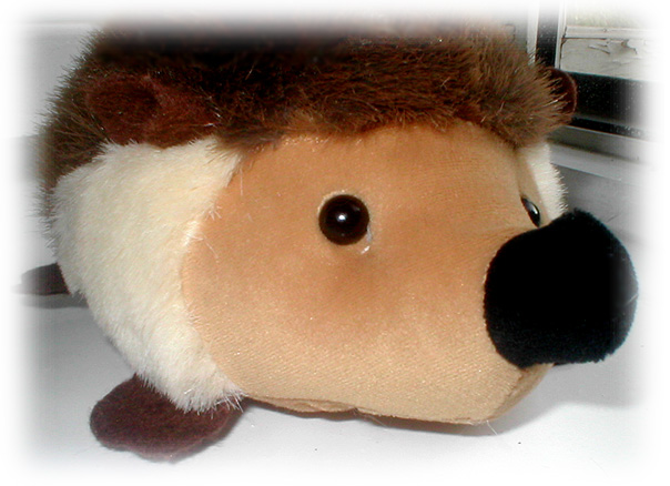 �������� �������